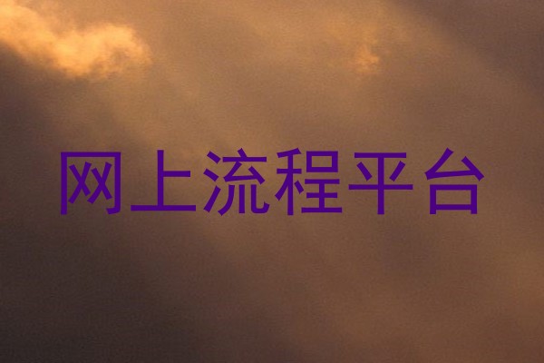 网上流程平台