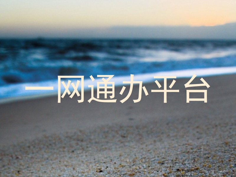 一网通办平台