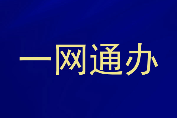 一网通办