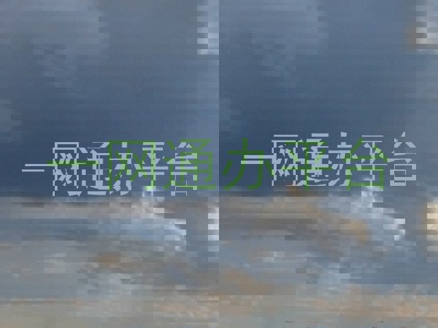 师生一网通办平台