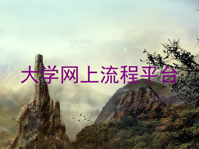 大学网上流程平台