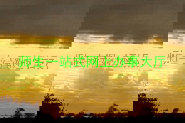 师生一站式网上办事大厅