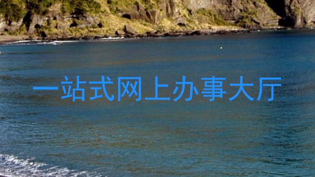 一站式网上办事大厅