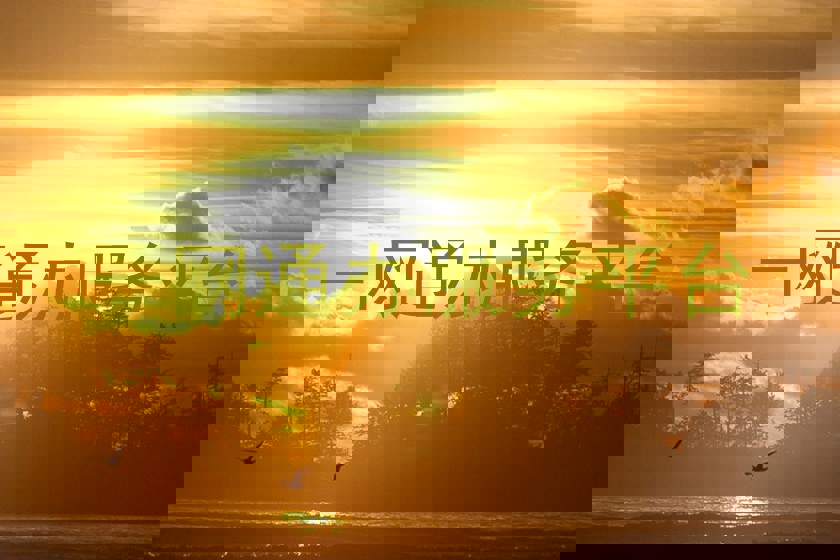 一网通办服务平台