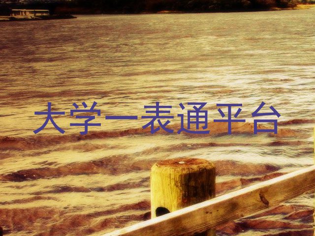 大学一表通平台