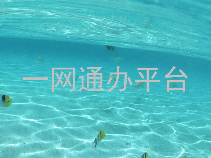 一网通办平台
