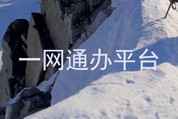 一网通办平台