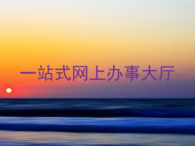 一站式网上办事大厅