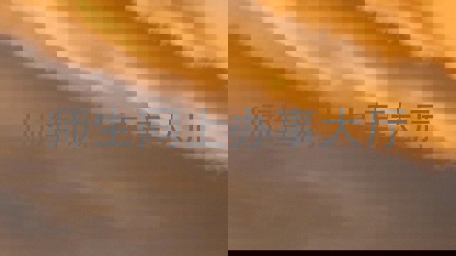 师生网上办事大厅