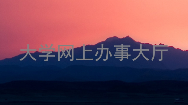 大学网上办事大厅