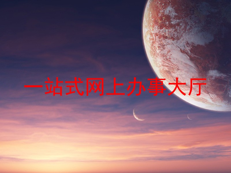 一站式网上办事大厅
