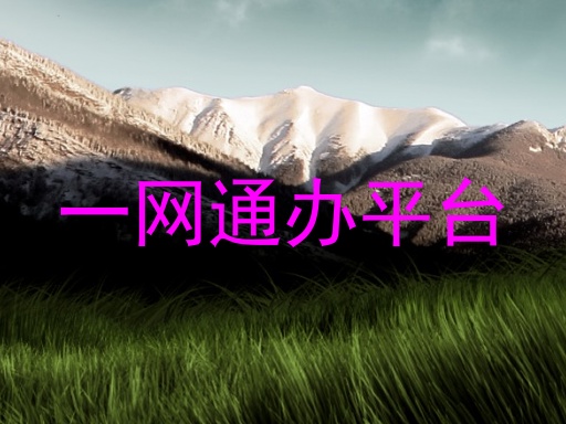 一网通办平台