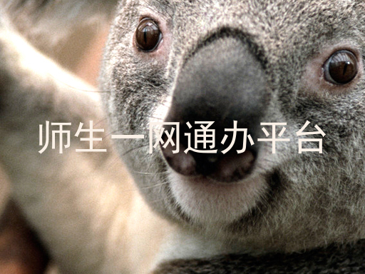 师生一网通办平台