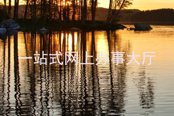 一站式网上办事大厅