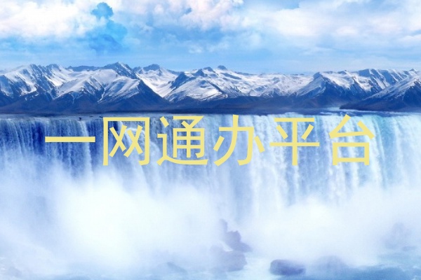一网通办平台
