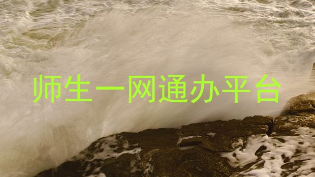 师生一网通办平台