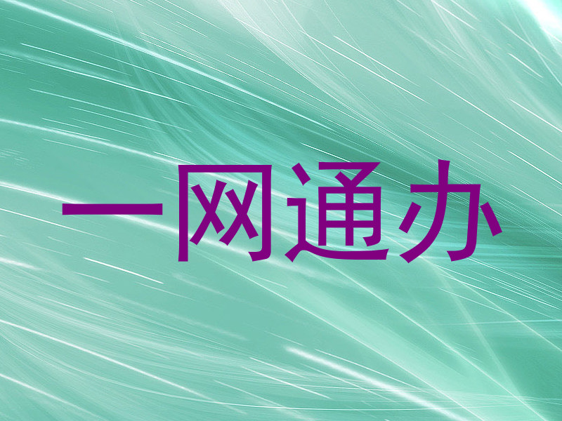一网通办