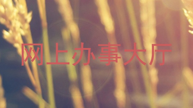 网上办事大厅