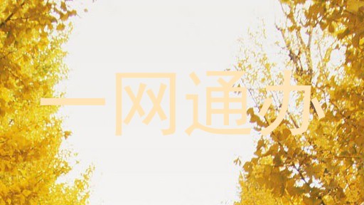 一网通办
