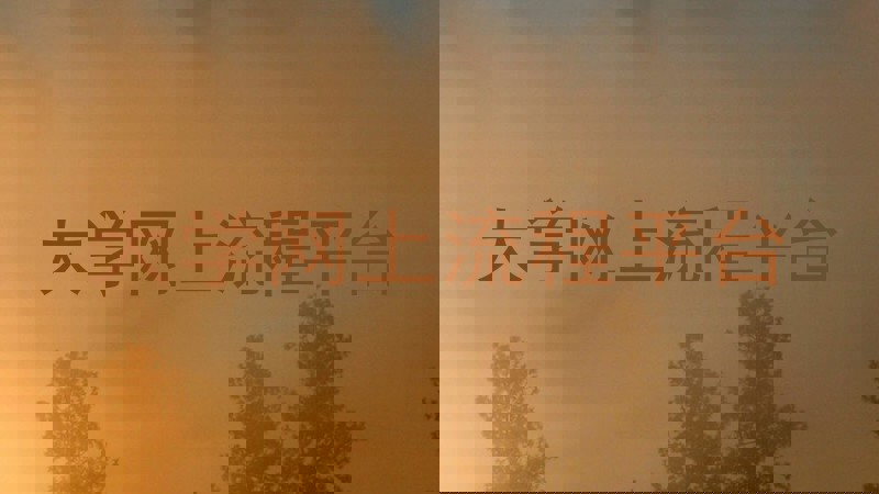大学网上流程平台