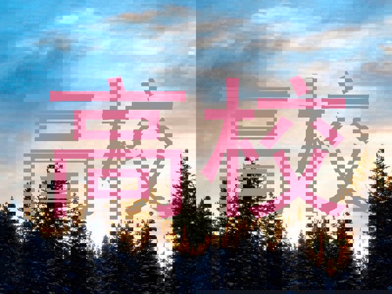 高校