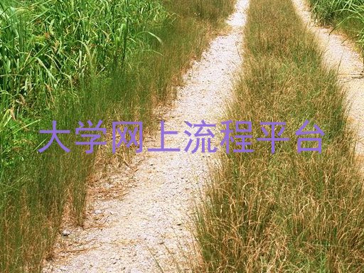 大学网上流程平台