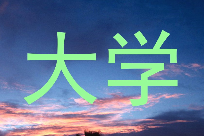 大学