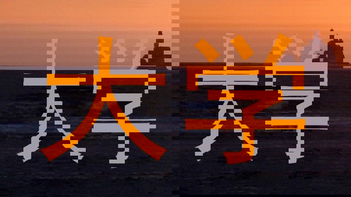 大学