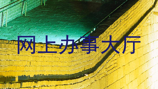 网上办事大厅