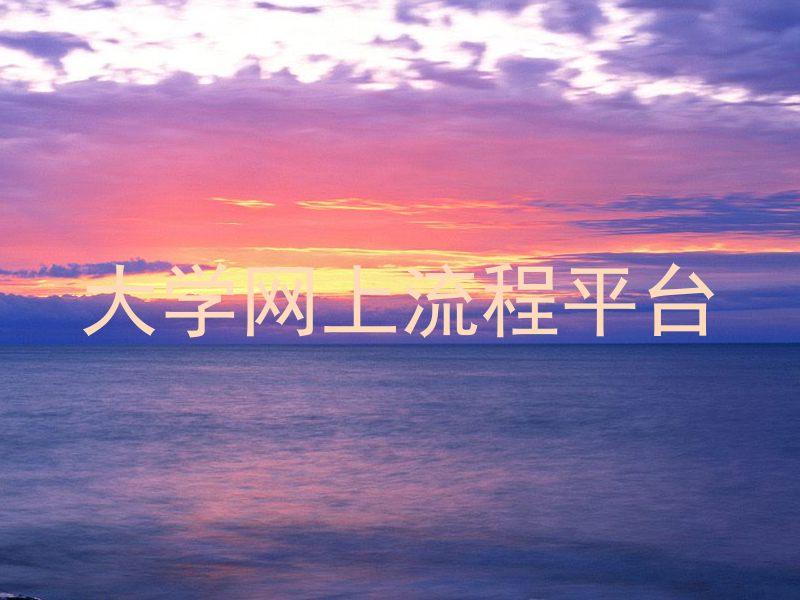 大学网上流程平台