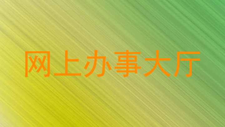 网上办事大厅
