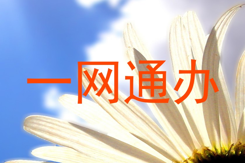 一网通办