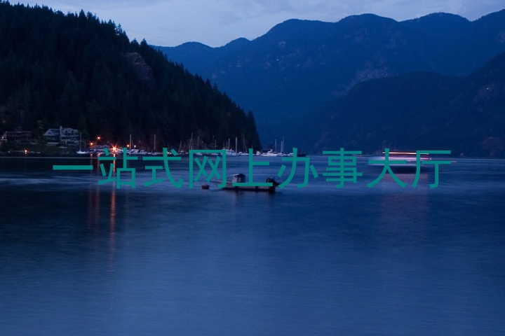 一站式网上办事大厅