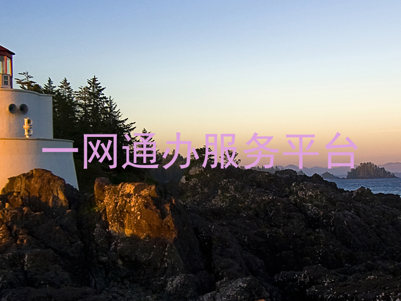 一网通办服务平台