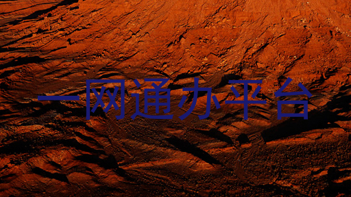 一网通办平台