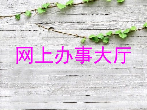 网上办事大厅
