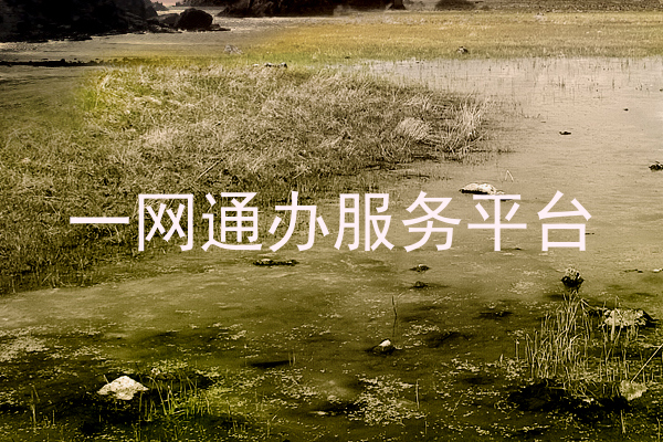 一网通办服务平台