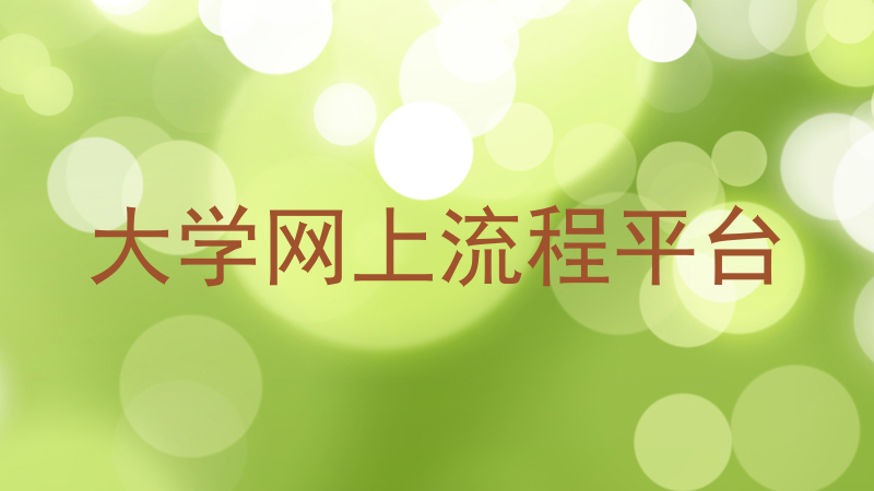 大学网上流程平台