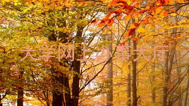 大学网上办事大厅