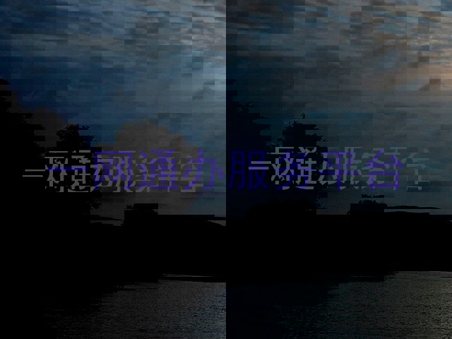 一网通办服务平台