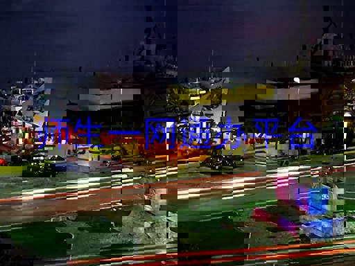 师生一网通办平台