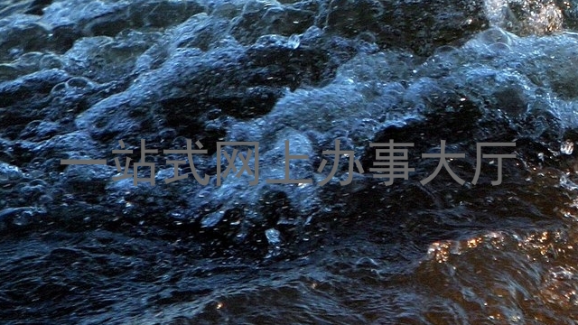 一站式网上办事大厅
