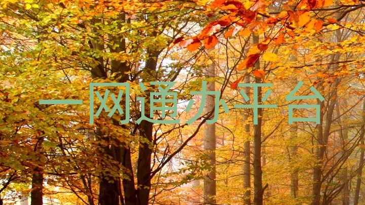 一网通办平台