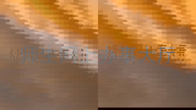 师生网上办事大厅