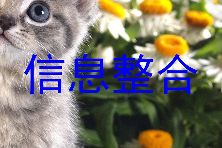 信息整合