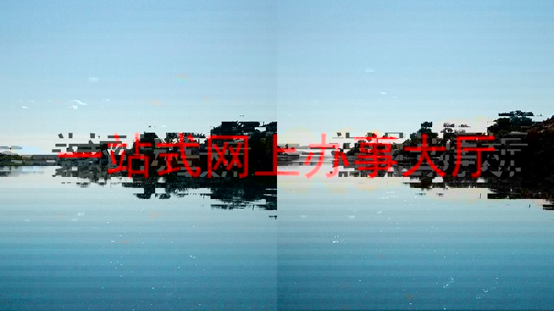 一站式网上办事大厅
