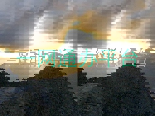 一网通办平台