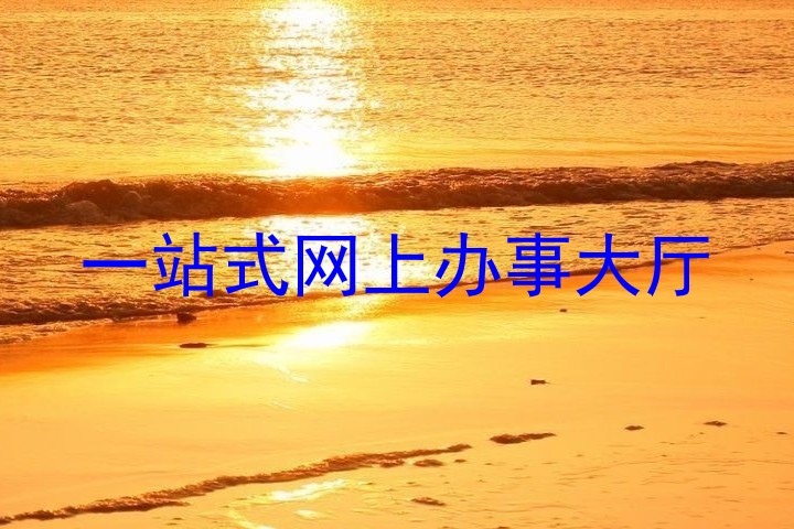 一站式网上办事大厅
