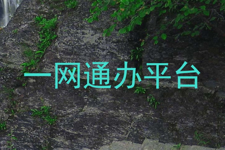 一网通办平台