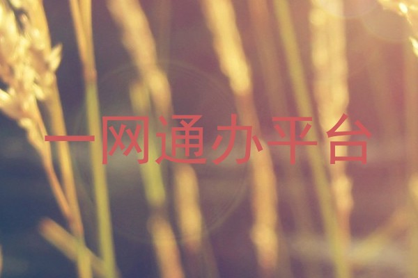 一网通办平台